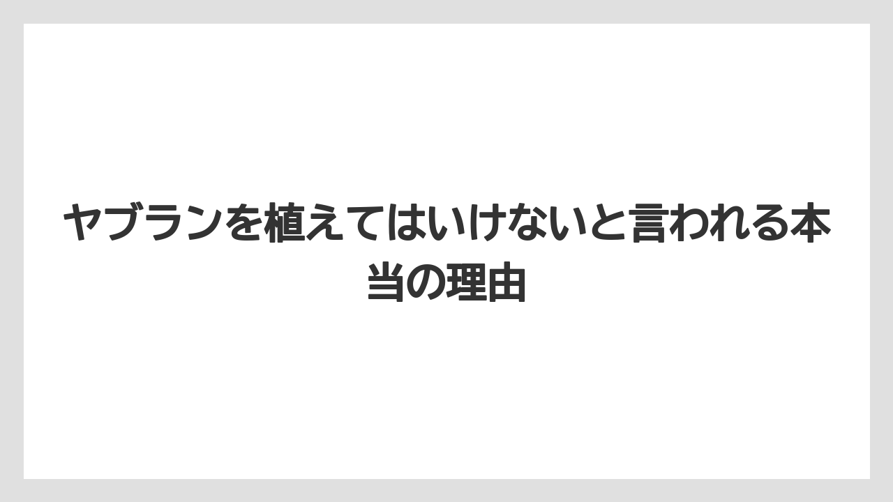 ヤブランを植えてはいけないと言われる本当の理由