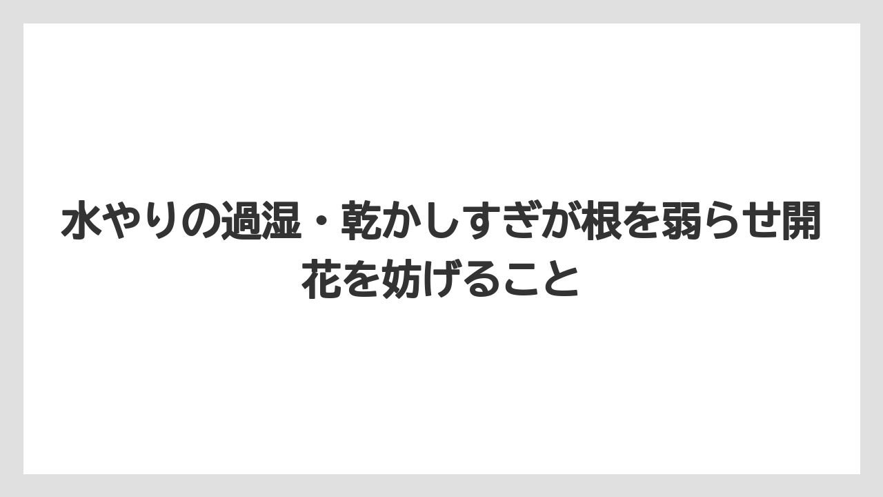 【栽培】【農園】【農業】水やりの過湿・乾かしすぎが根を弱らせ開花を妨げること