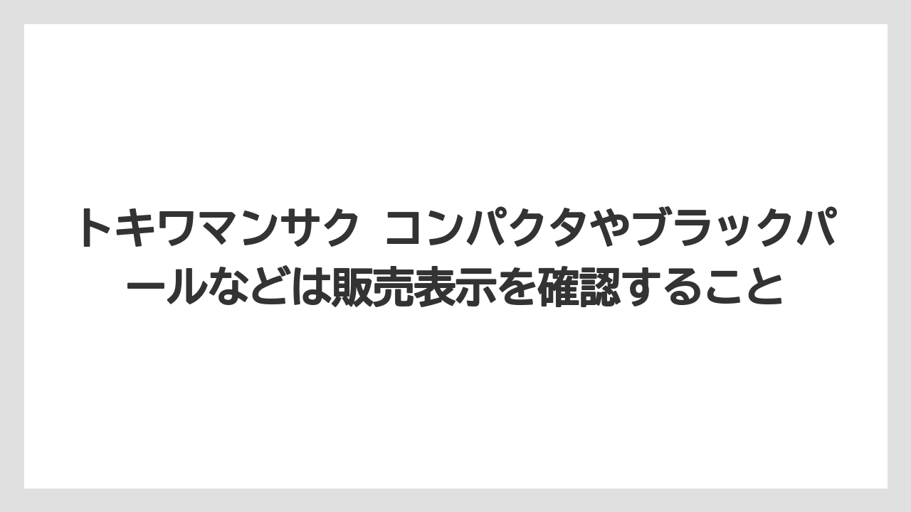 【栽培】【農園】【農業】トキワマンサク コンパクタやブラックパールなどは販売表示を確認すること