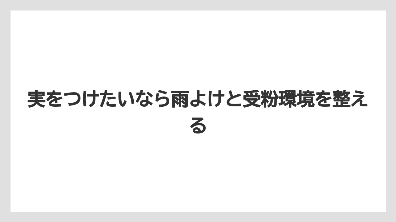 【栽培】【農園】【農業】実をつけたいなら雨よけと受粉環境を整える