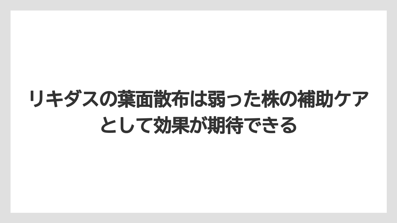 【リキダス】【栽培】【農業】リキダスの葉面散布は弱った株の補助ケアとして効果が期待できる