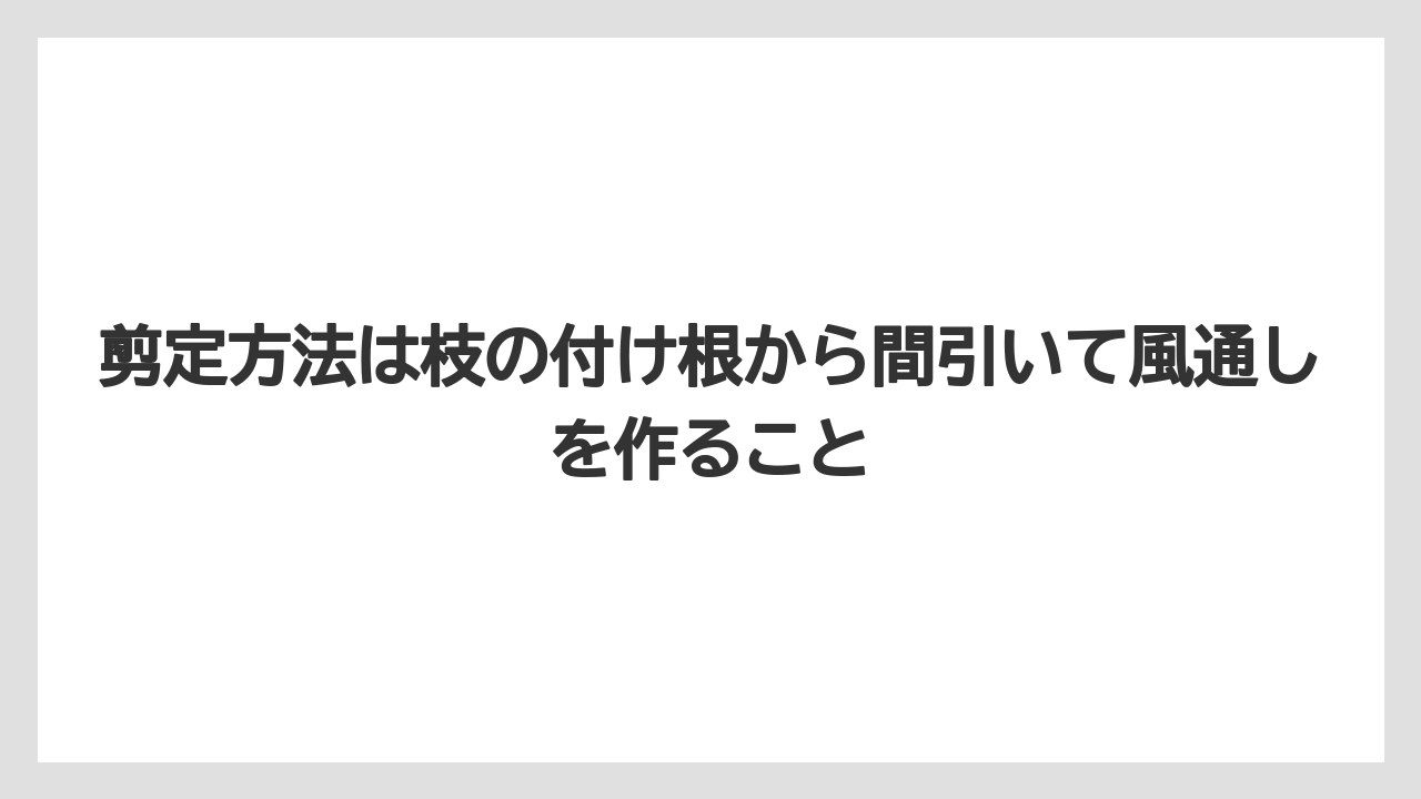 【栽培】【農園】【農業】剪定方法は枝の付け根から間引いて風通しを作ること