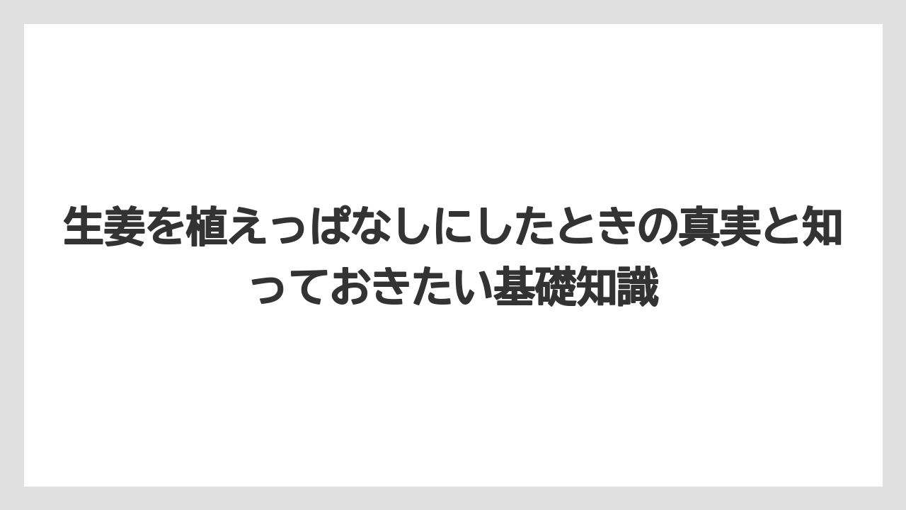 生姜を植えっぱなしにしたときの真実と知っておきたい基礎知識
