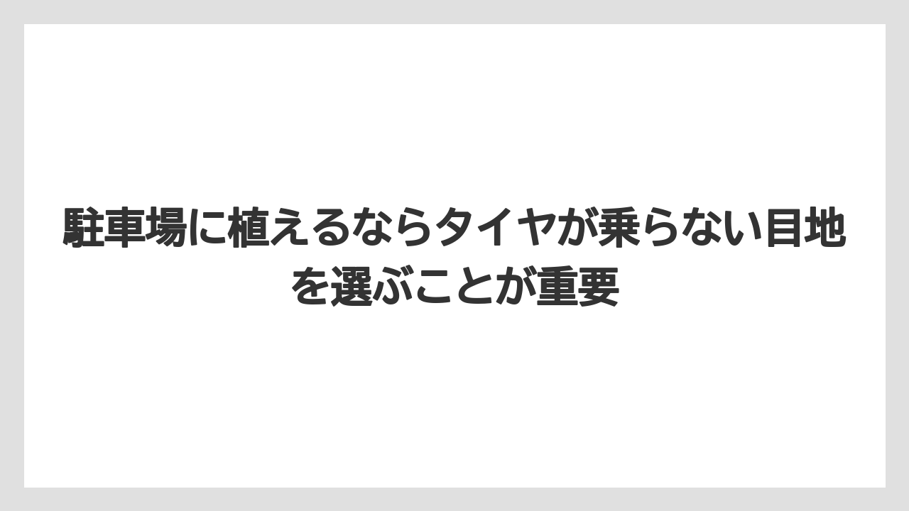 【いけない】【後悔】【栽培】【植え】駐車場に植えるならタイヤが乗らない目地を選ぶことが重要