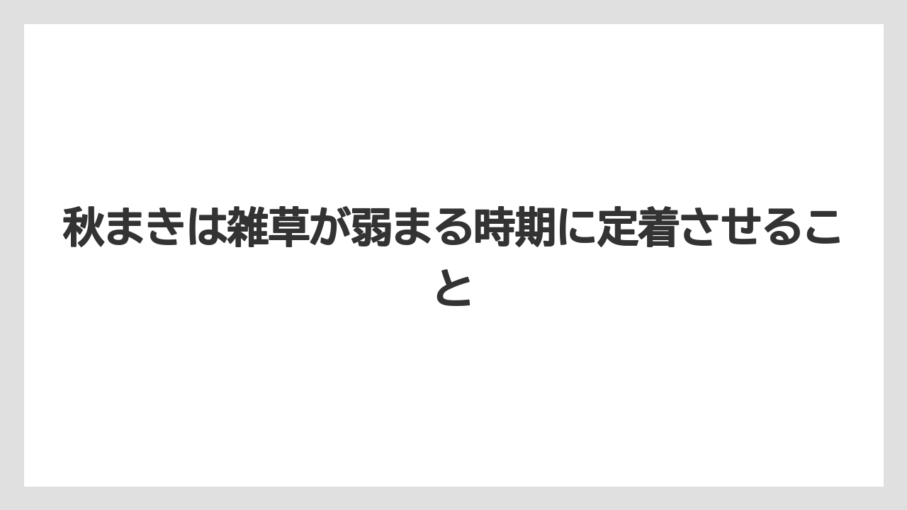 【栽培】【農園】【農業】秋まきは雑草が弱まる時期に定着させること