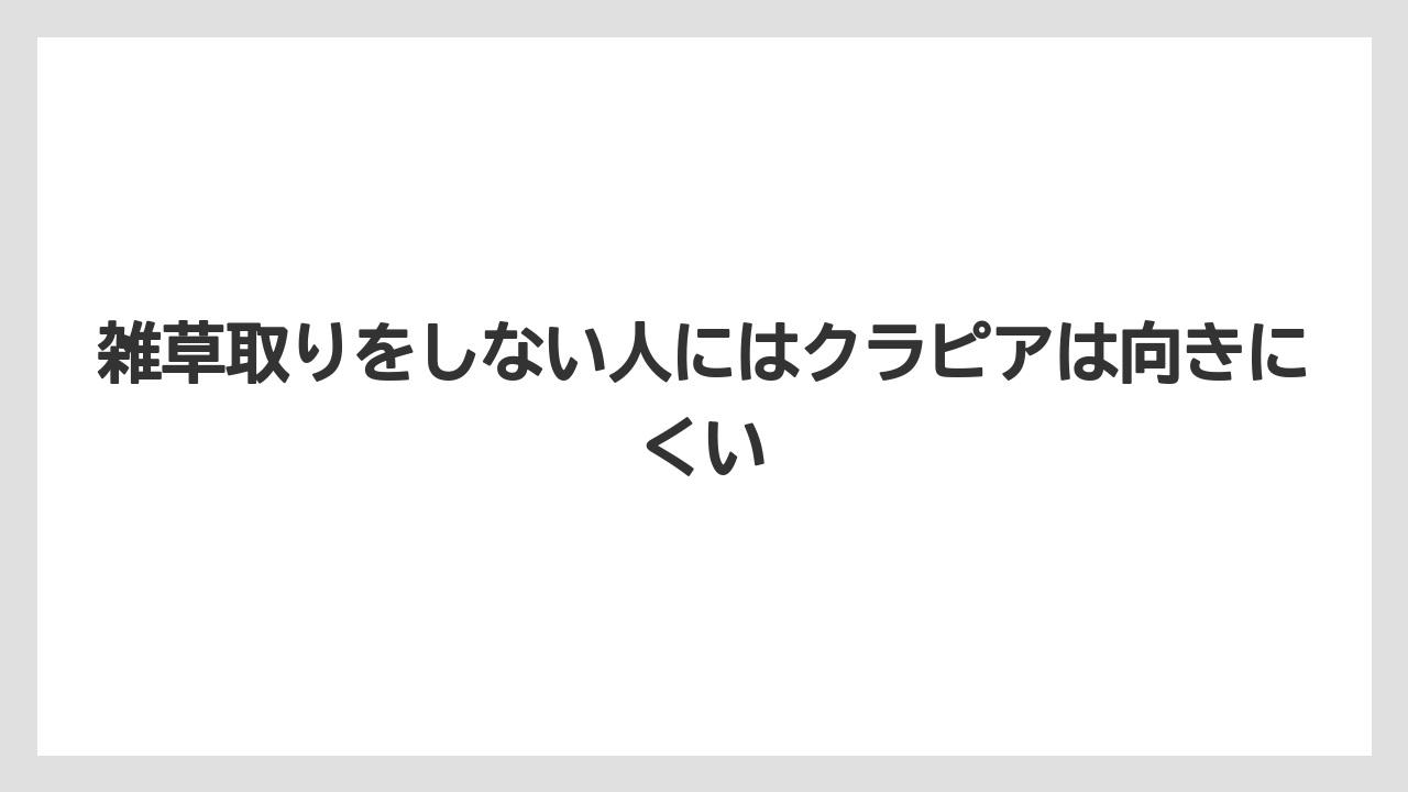 【バラ】【栽培】【農業】雑草取りをしない人にはクラピアは向きにくい