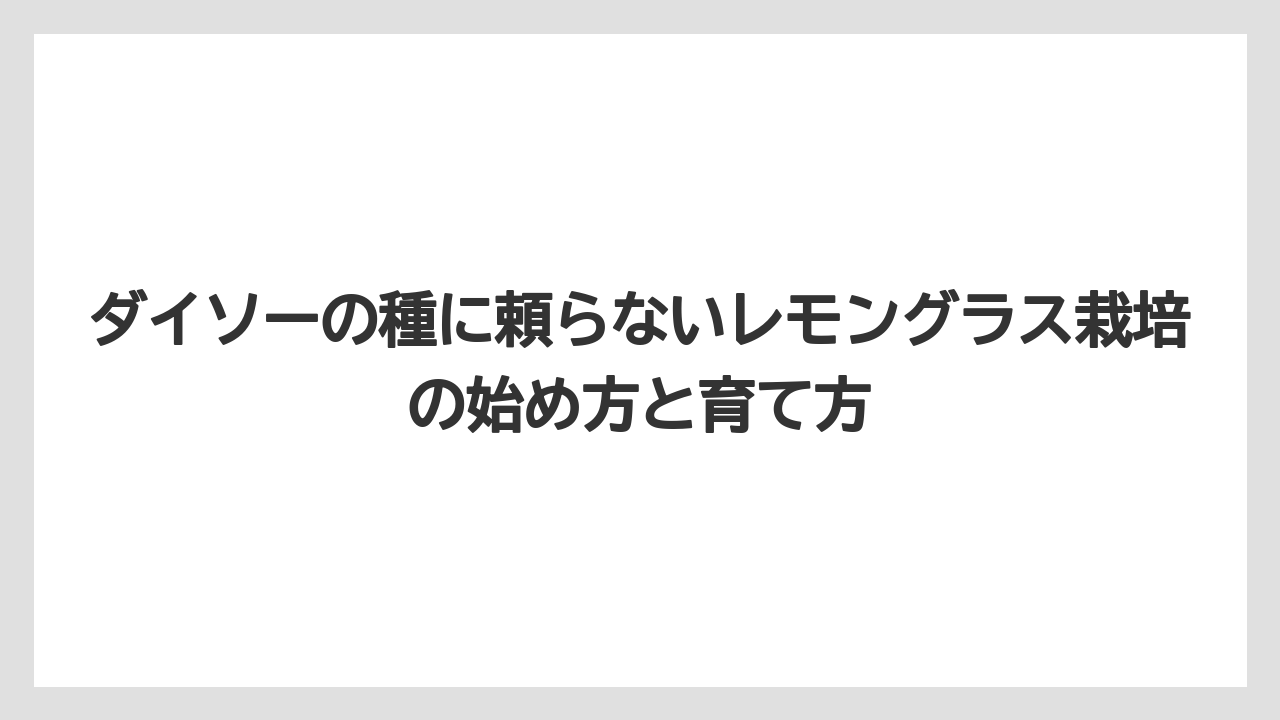 【レモン】【栽培】【農業】確実に入手したいなら通販がベストな選択肢