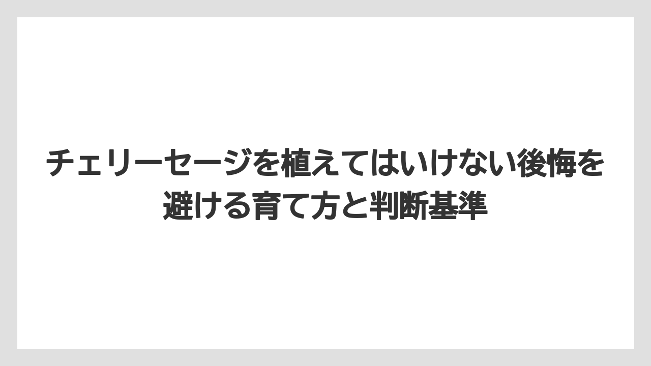 【栽培】【農園】【農業】チェリーセージは風水的に楽しむなら香りと色を飾りとして取り入れること