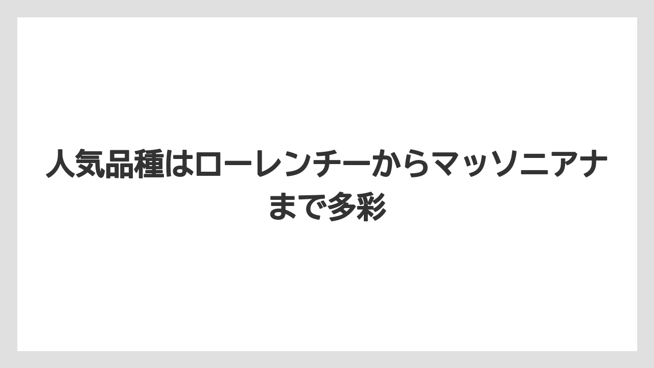 【サンスベリア】【栽培】【農業】人気品種はローレンチーからマッソニアナまで多彩