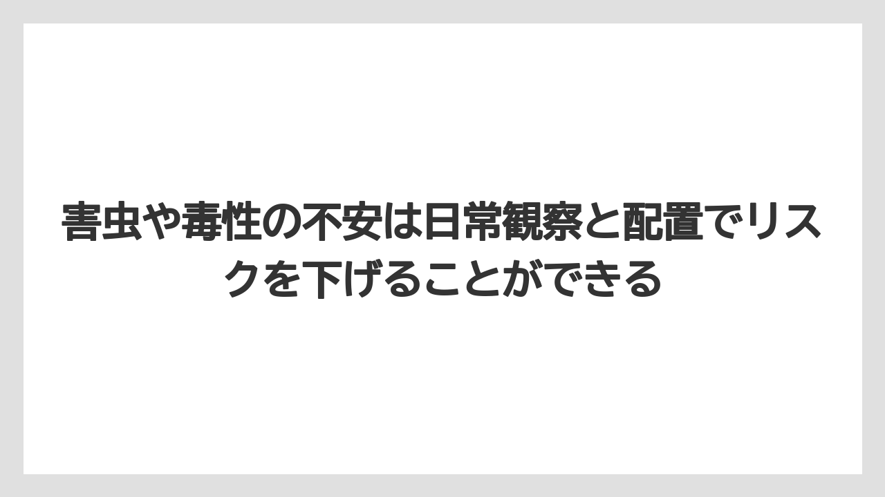 【栽培】【農園】【農業】害虫や毒性の不安は日常観察と配置でリスクを下げることができる