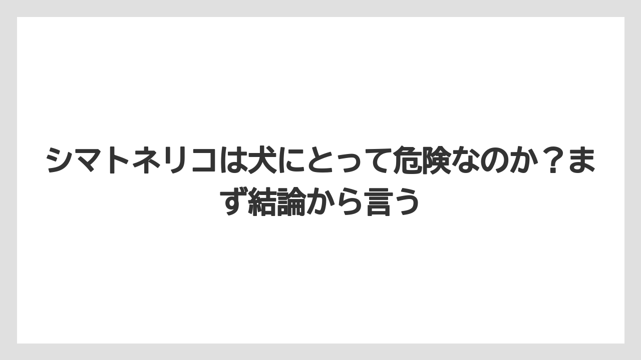 【シマトネリコ】【庭】【栽培】【毒】シマトネリコは犬にとって危険なのか？まず結論から言う