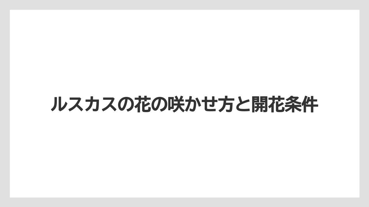 ルスカスの花の咲かせ方と開花条件