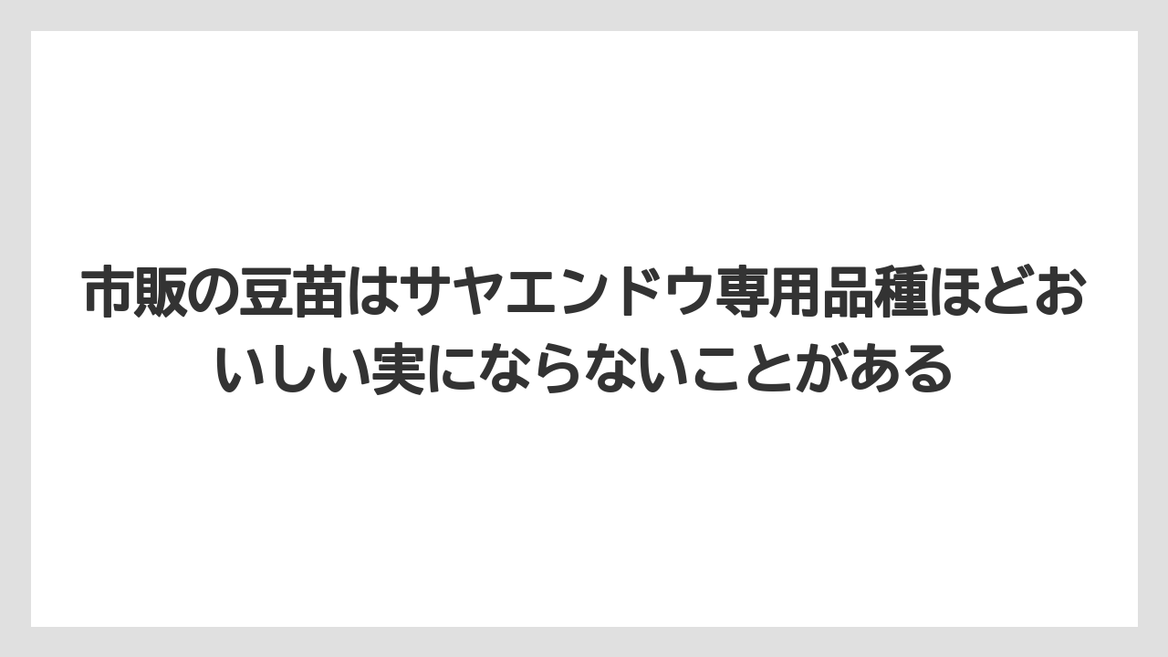 【栽培】【豆苗】【農業】市販の豆苗はサヤエンドウ専用品種ほどおいしい実にならないことがある