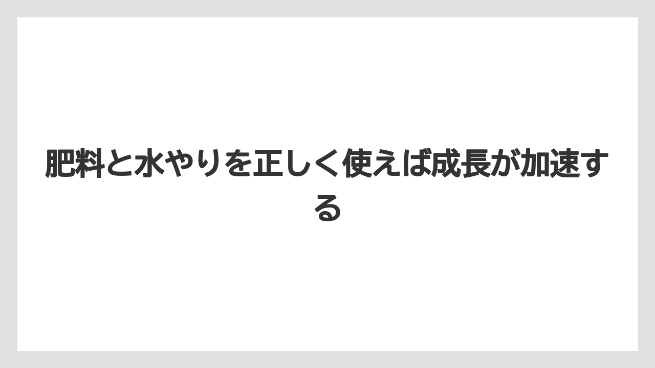 【ガジュマル】【根】【栽培】【育て方】肥料と水やりを正しく使えば成長が加速する