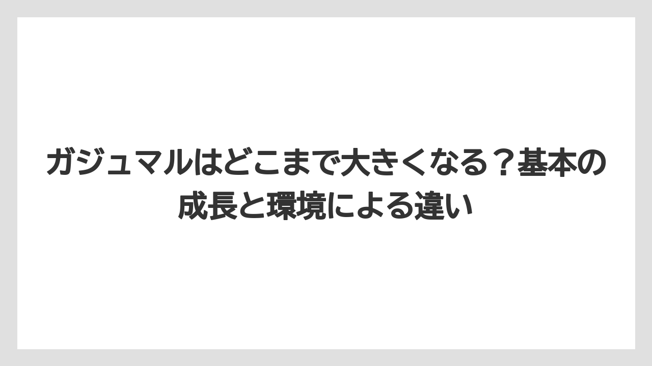 ガジュマルはどこまで大きくなる？基本の成長と環境による違い