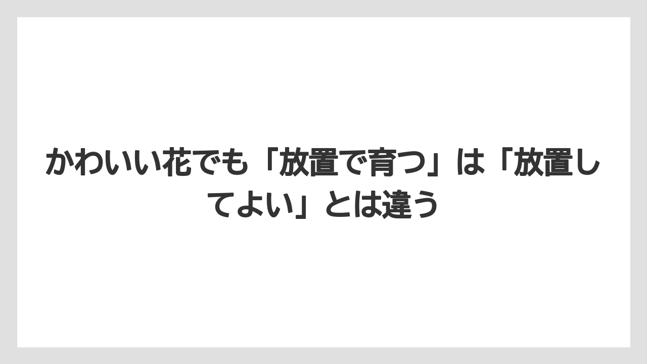 【いけない】【後悔】【栽培】【植え】かわいい花でも「放置で育つ」は「放置してよい」とは違う
