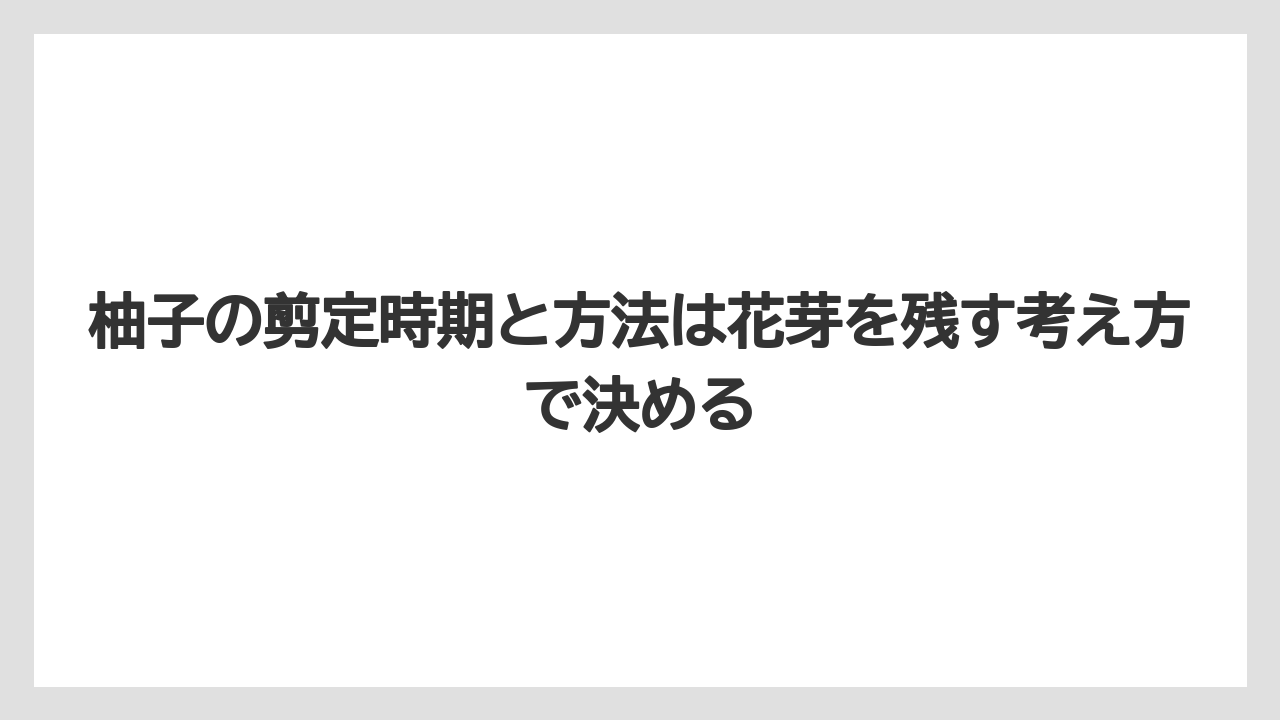 【剪定】【栽培】【農業】柚子の剪定時期と方法は花芽を残す考え方で決める