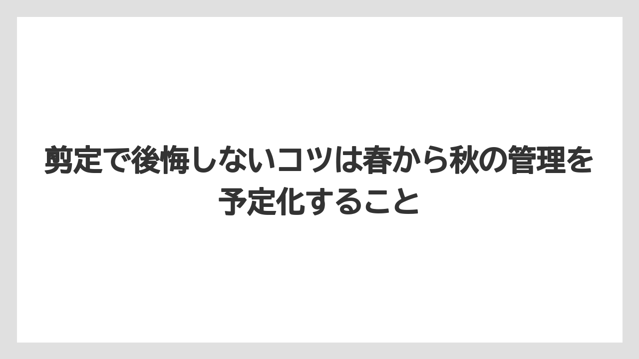 【レモン】【栽培】【農業】剪定で後悔しないコツは春から秋の管理を予定化すること