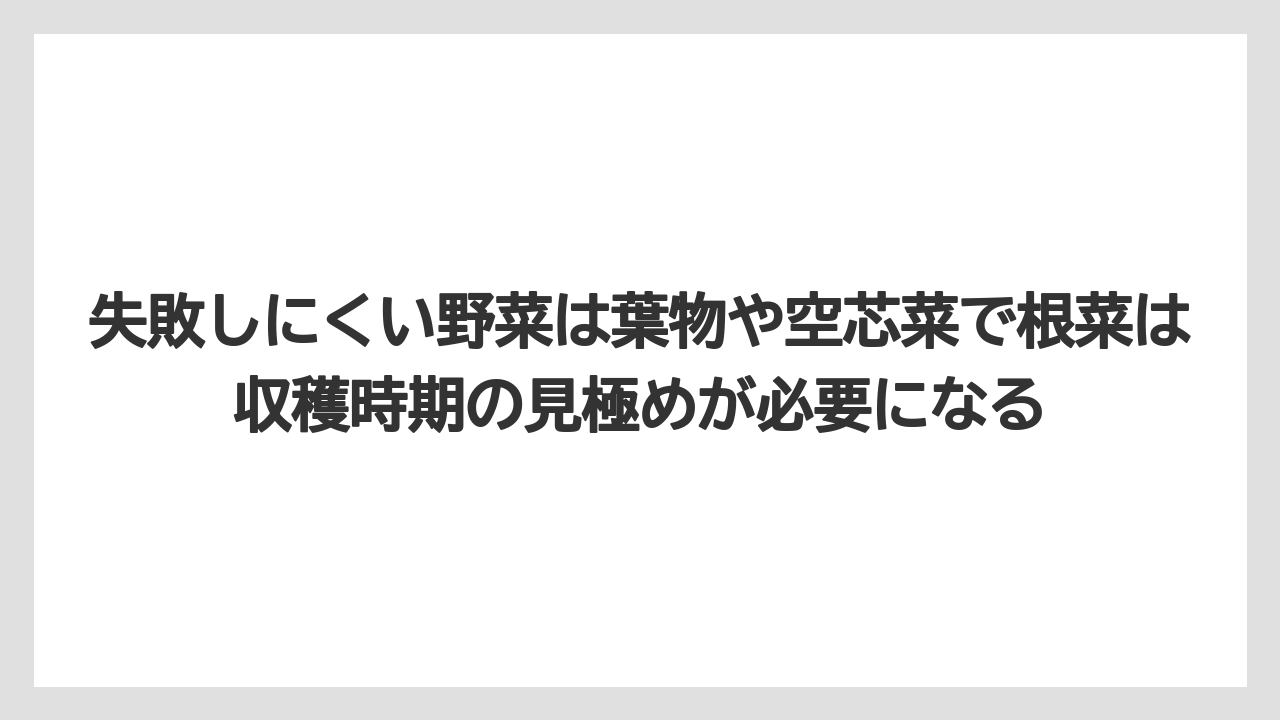 【100均】【しそ】【バーミキュライト】【栽培】【水耕栽培】失敗しにくい野菜は葉物や空芯菜で根菜は収穫時期の見極めが必要になる