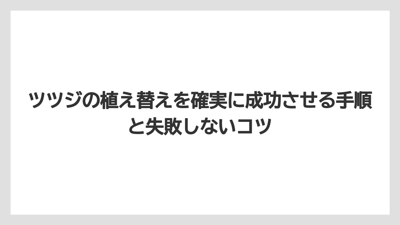 【栽培】【植え】【農業】水やりは鉢底から水が流れ出るまでたっぷりと