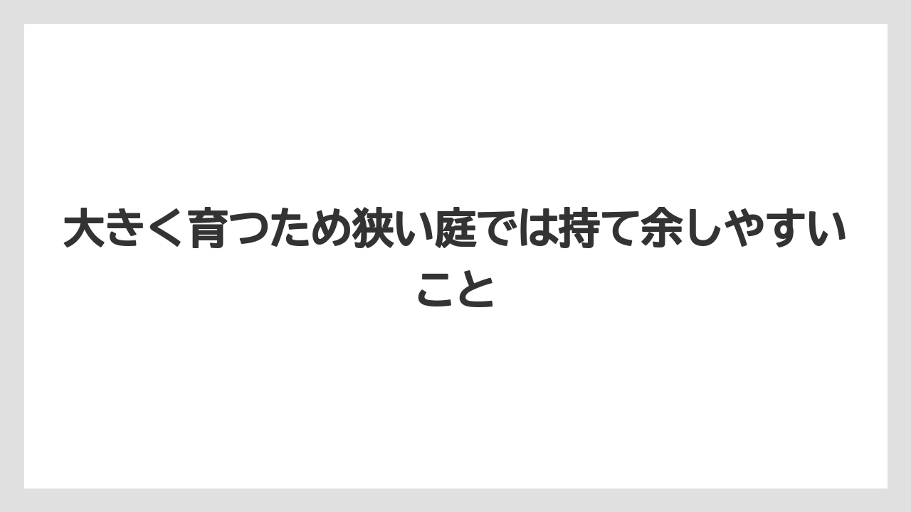 【バラ】【栽培】【農業】大きく育つため狭い庭では持て余しやすいこと