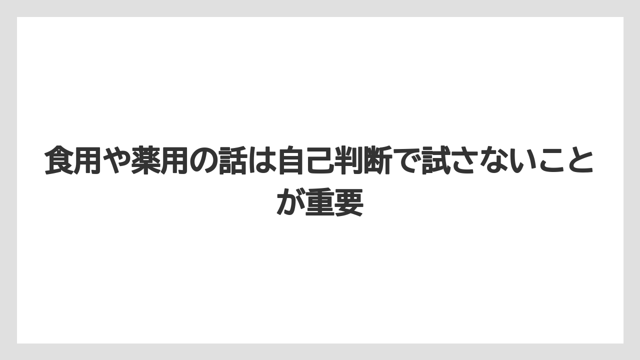 【庭】【栽培】【植え】【毒】【猫】食用や薬用の話は自己判断で試さないことが重要