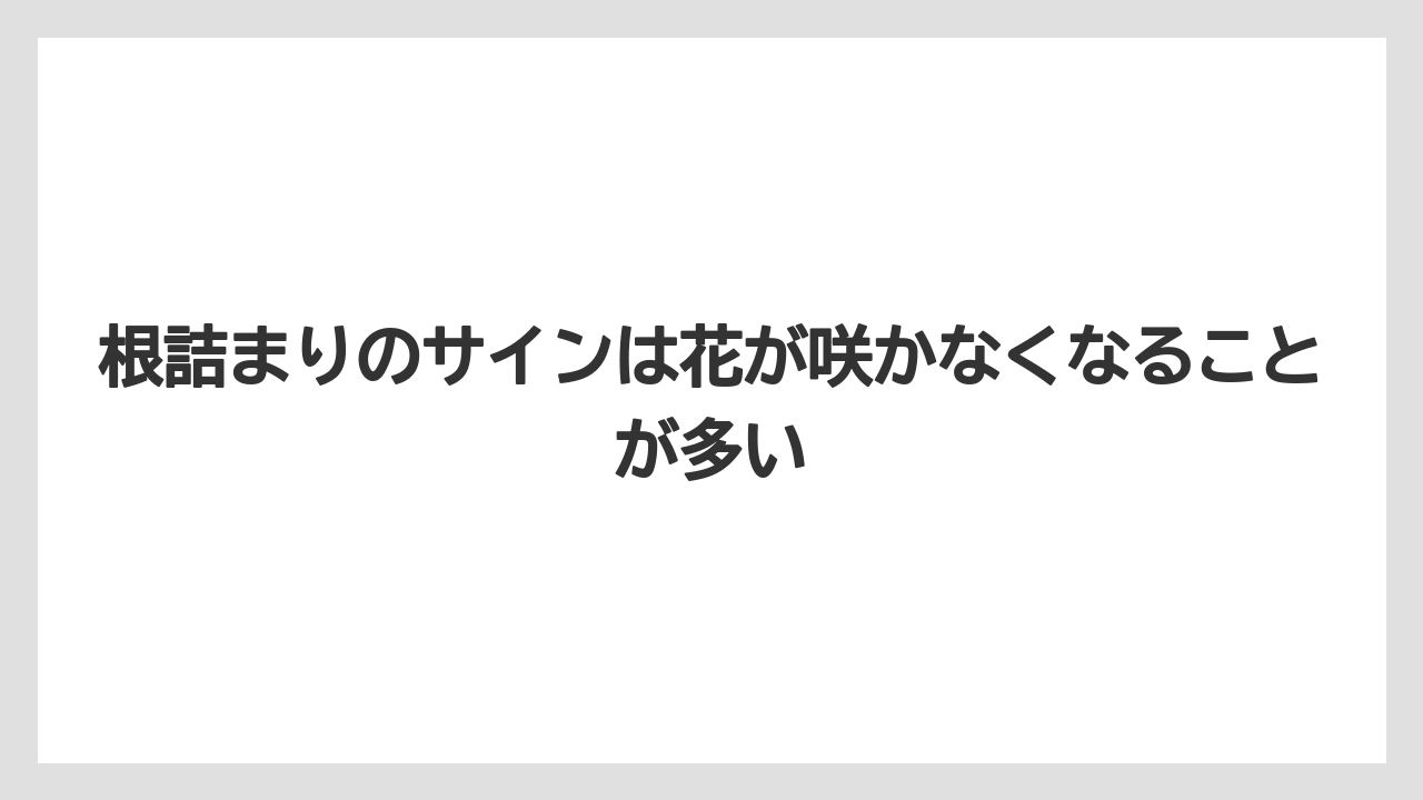 【栽培】【植え】【農業】根詰まりのサインは花が咲かなくなることが多い