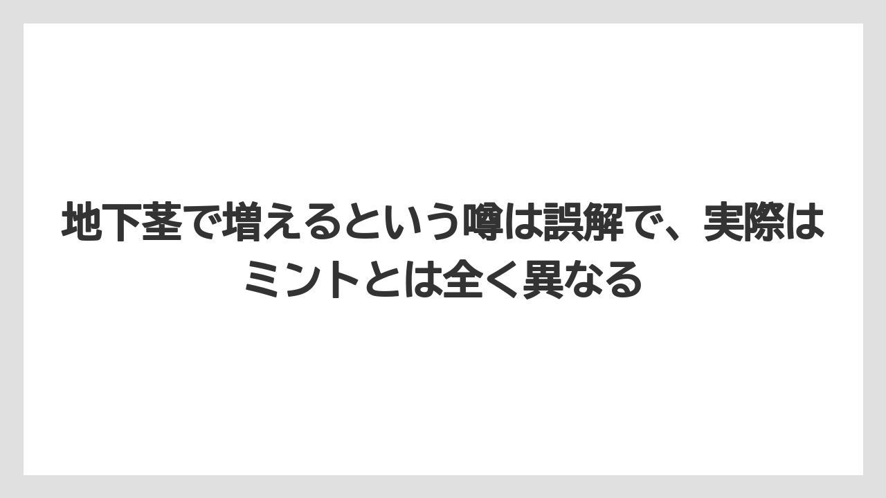 【いけない】【バジル】【後悔】【植え】【育て方】地下茎で増えるという噂は誤解で、実際はミントとは全く異なる