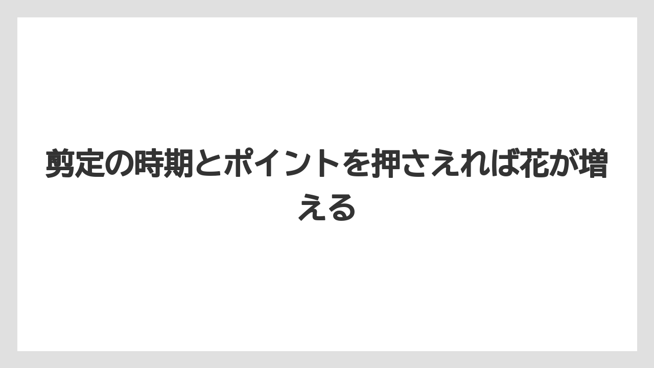 【支柱】【栽培】【農業】剪定の時期とポイントを押さえれば花が増える