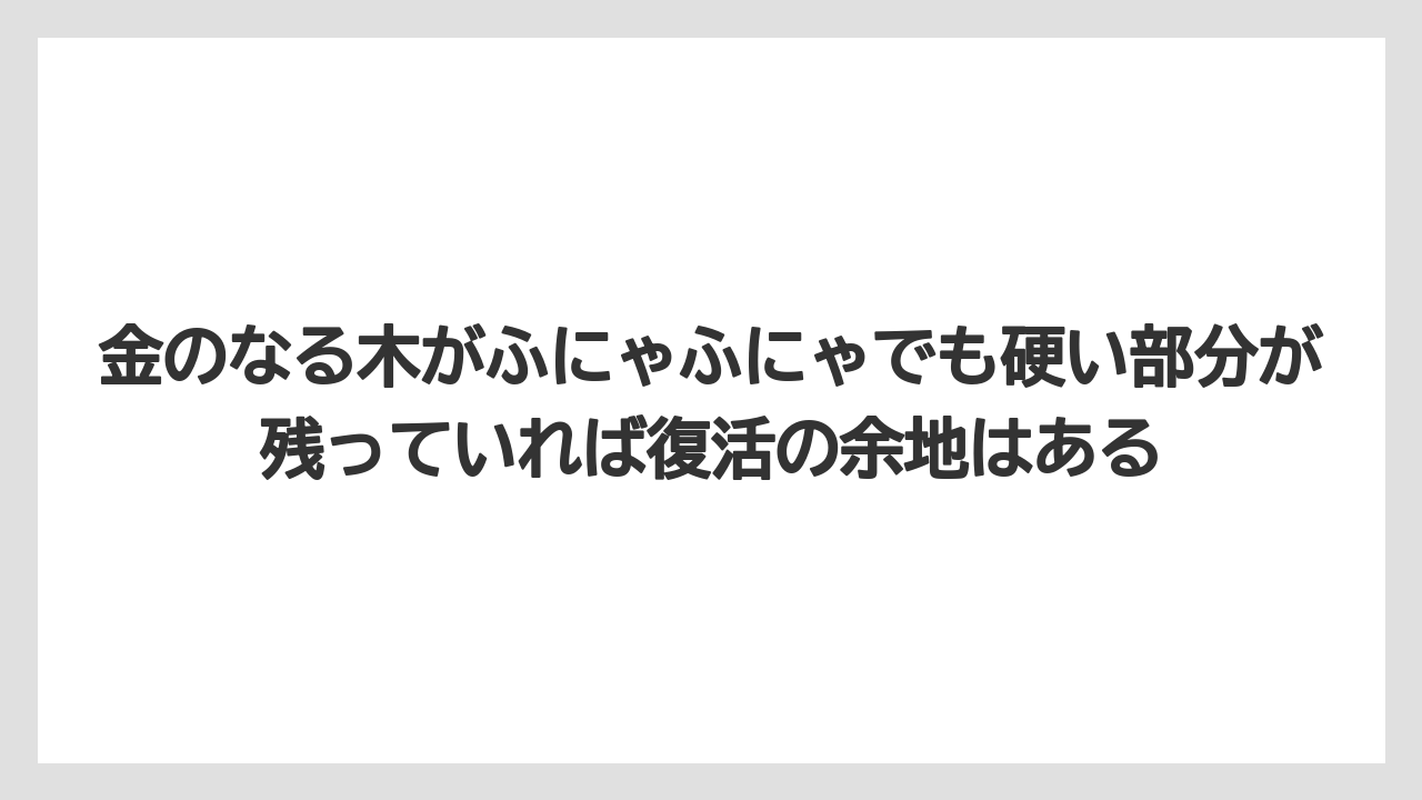 【木】【栽培】【農業】金のなる木がふにゃふにゃでも硬い部分が残っていれば復活の余地はある