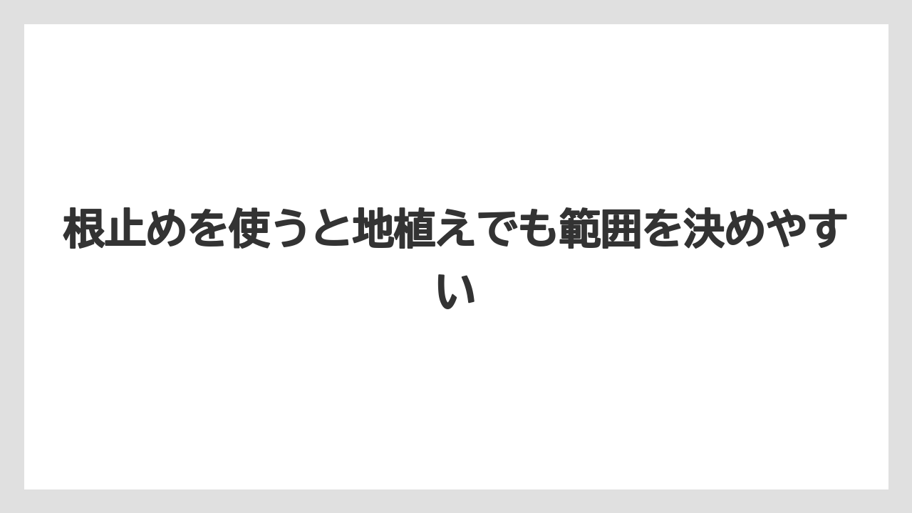 【栽培】【農園】【農業】根止めを使うと地植えでも範囲を決めやすい
