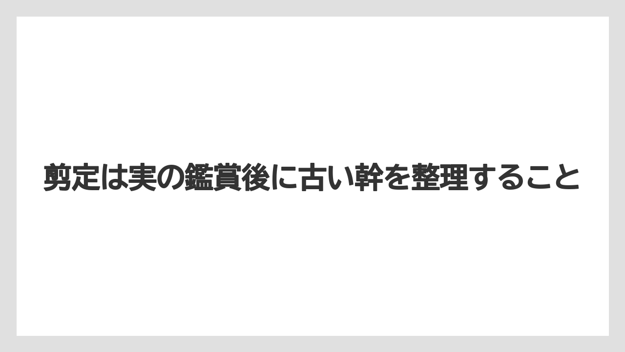 【栽培】【農園】【農業】剪定は実の鑑賞後に古い幹を整理すること