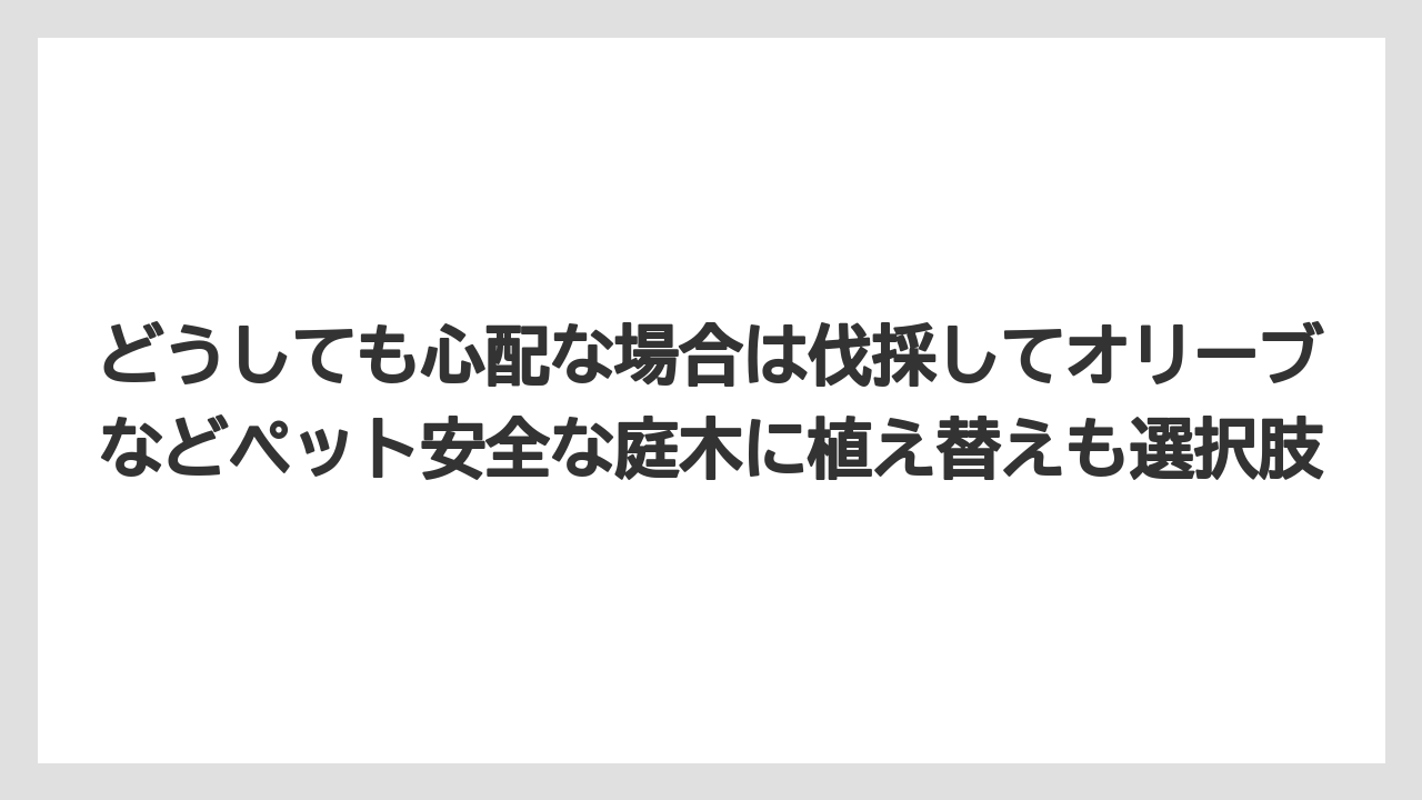 【シマトネリコ】【庭】【栽培】【毒】どうしても心配な場合は伐採してオリーブなどペット安全な庭木に植え替えも選択肢