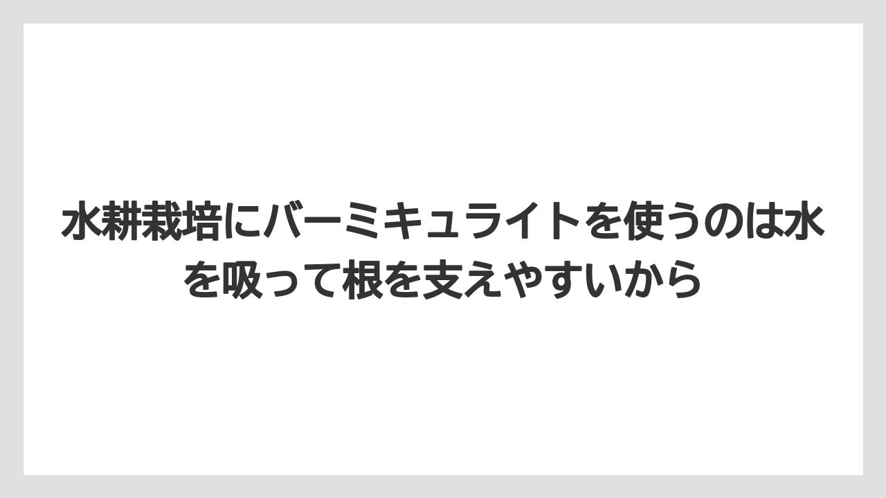 【100均】【しそ】【バーミキュライト】【栽培】【水耕栽培】水耕栽培にバーミキュライトを使うのは水を吸って根を支えやすいから