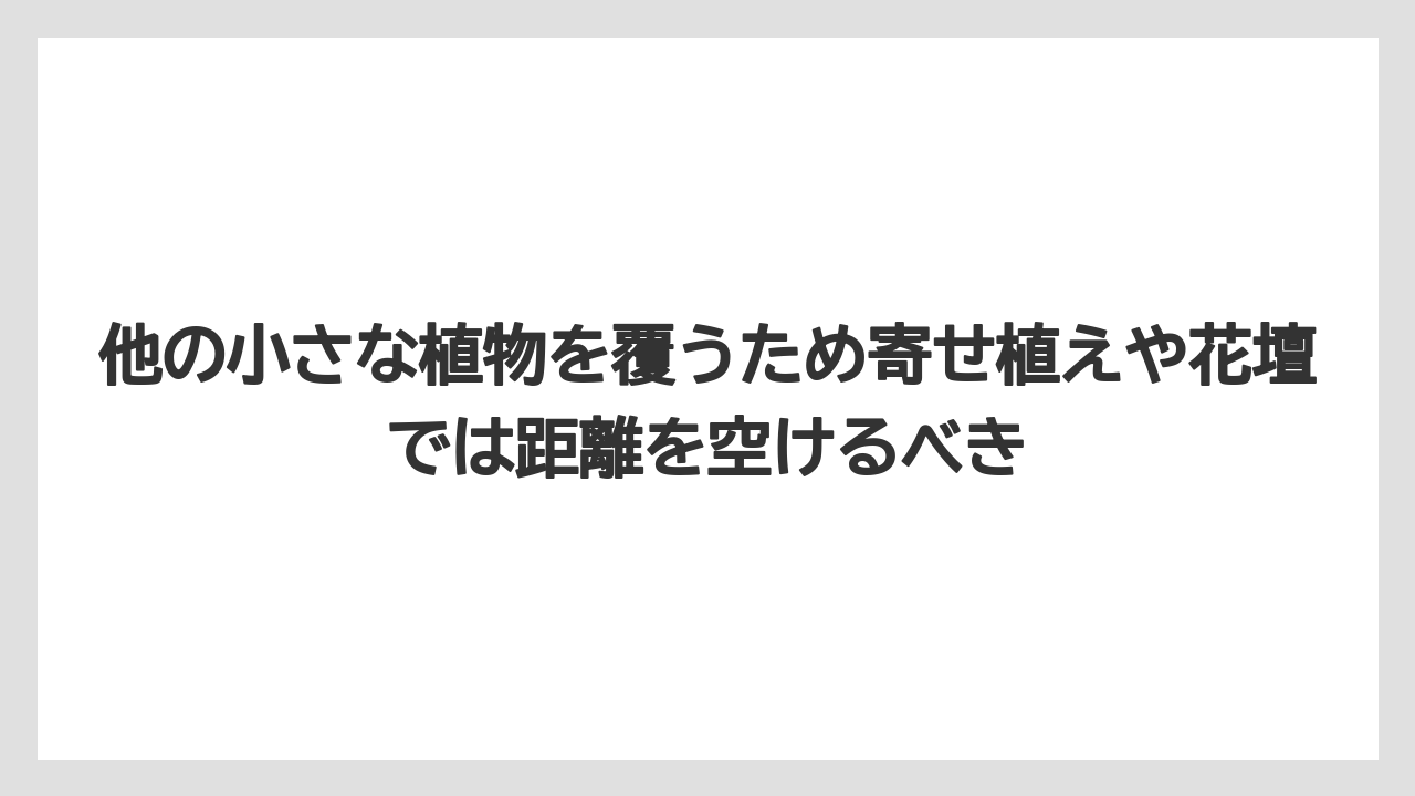 【いけない】【クリーピング】【庭】【後悔】【植え】他の小さな植物を覆うため寄せ植えや花壇では距離を空けるべき