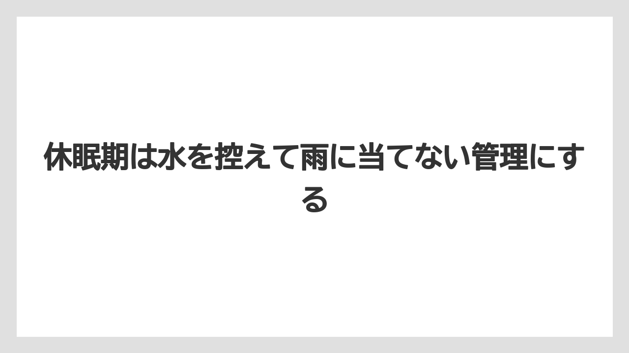【栽培】【育て方】【花】【葉】休眠期は水を控えて雨に当てない管理にする
