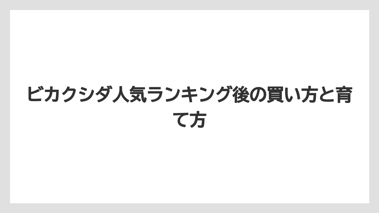 希少感まで楽しむならキッチャクードやコロナリウムも面白い