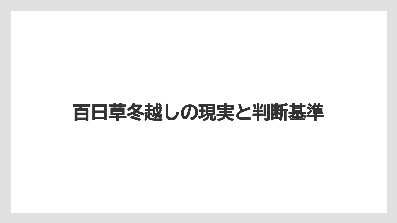 百日草冬越しの現実と判断基準