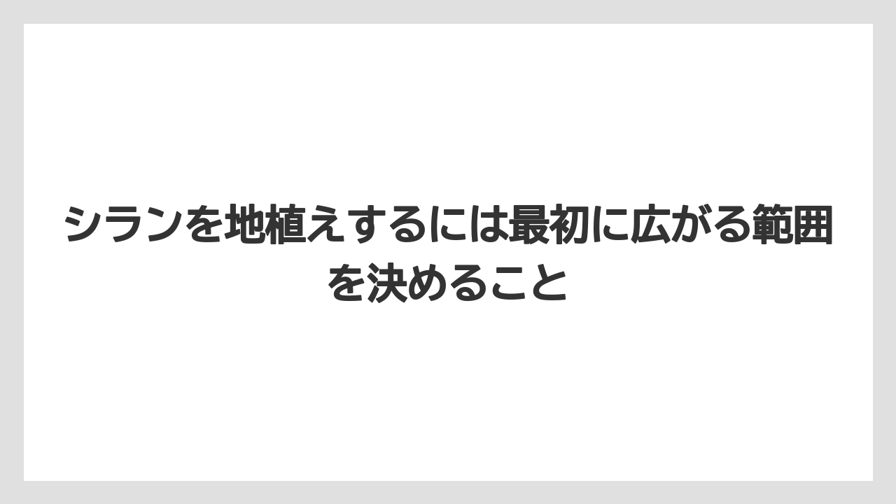 【栽培】【農園】【農業】シランを地植えするには最初に広がる範囲を決めること