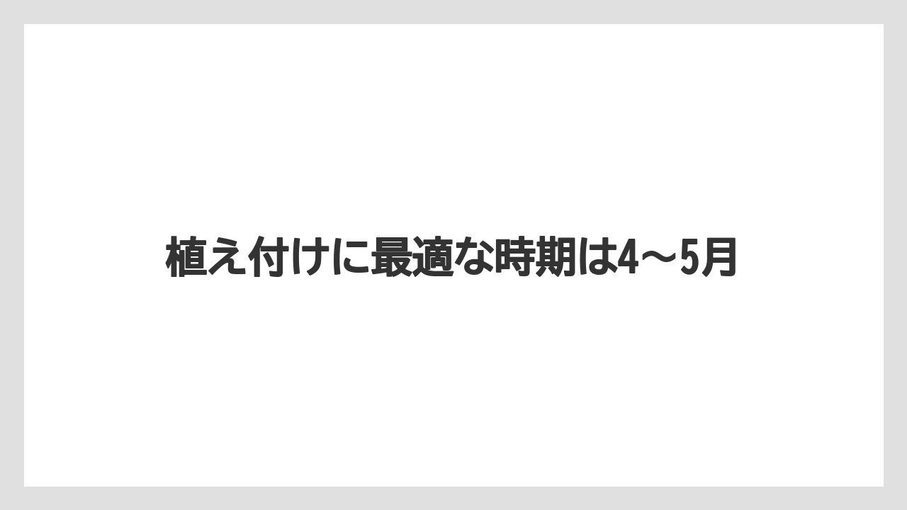 【栽培】【植え】【農業】植え付けに最適な時期は4〜5月