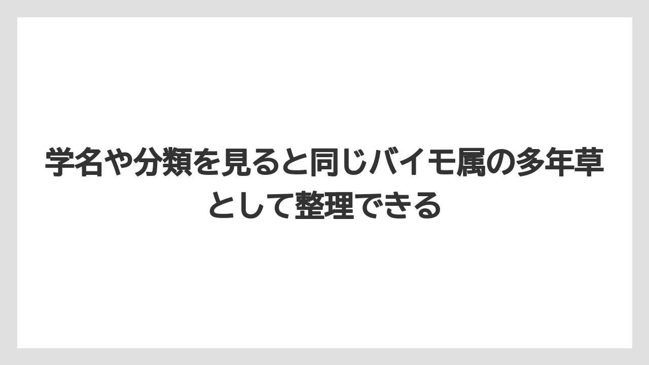【栽培】【農園】【農業】学名や分類を見ると同じバイモ属の多年草として整理できる