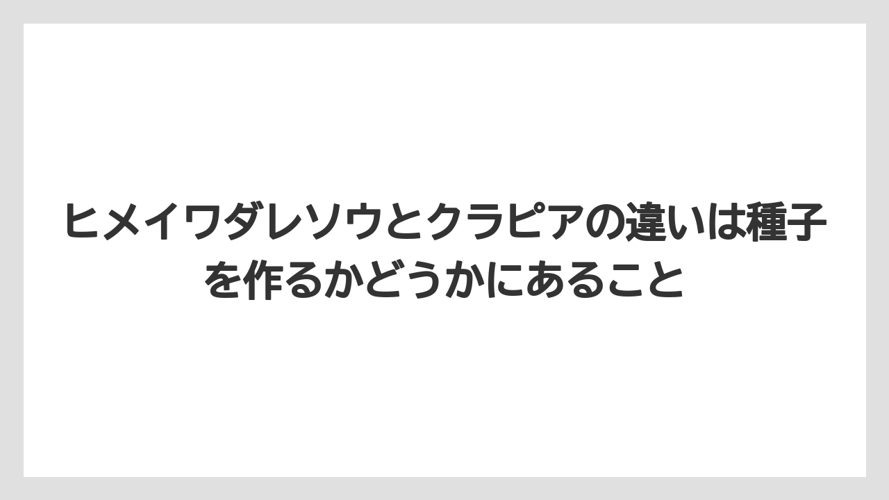 【栽培】【農園】【農業】ヒメイワダレソウとクラピアの違いは種子を作るかどうかにあること