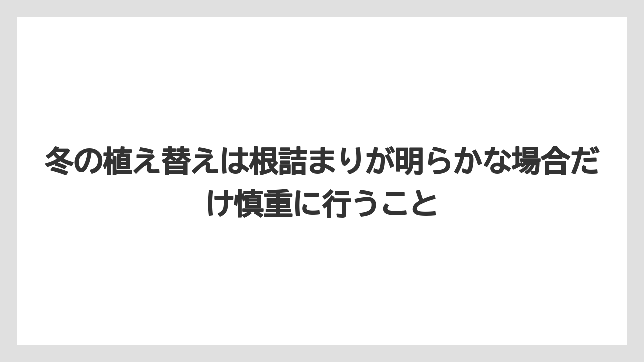 【栽培】【農園】【農業】冬の植え替えは根詰まりが明らかな場合だけ慎重に行うこと