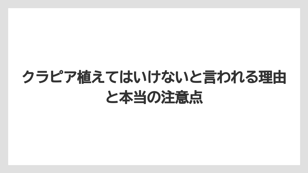 クラピア植えてはいけないと言われる理由と本当の注意点