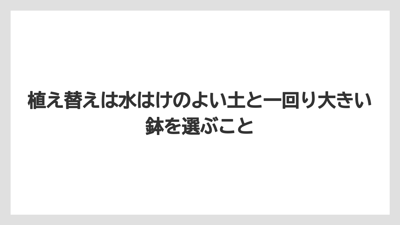 【栽培】【農園】【農業】植え替えは水はけのよい土と一回り大きい鉢を選ぶこと