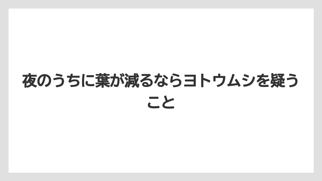 【コーヒー】【大葉】【栽培】【肥料】【農業】夜のうちに葉が減るならヨトウムシを疑うこと