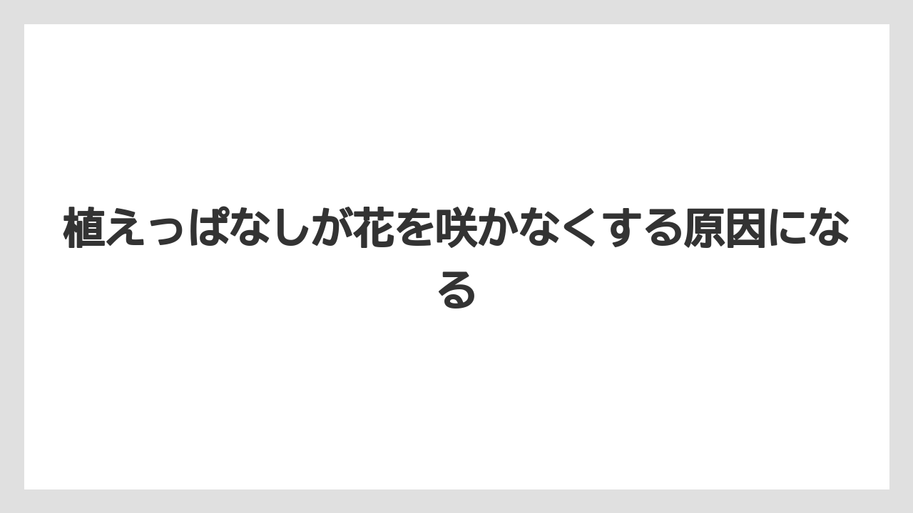 【栽培】【花】【葉】植えっぱなしが花を咲かなくする原因になる