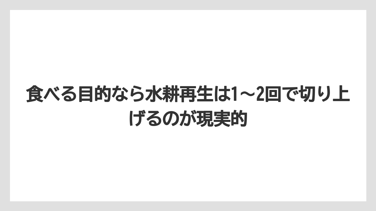 【栽培】【豆苗】【農業】食べる目的なら水耕再生は1〜2回で切り上げるのが現実的