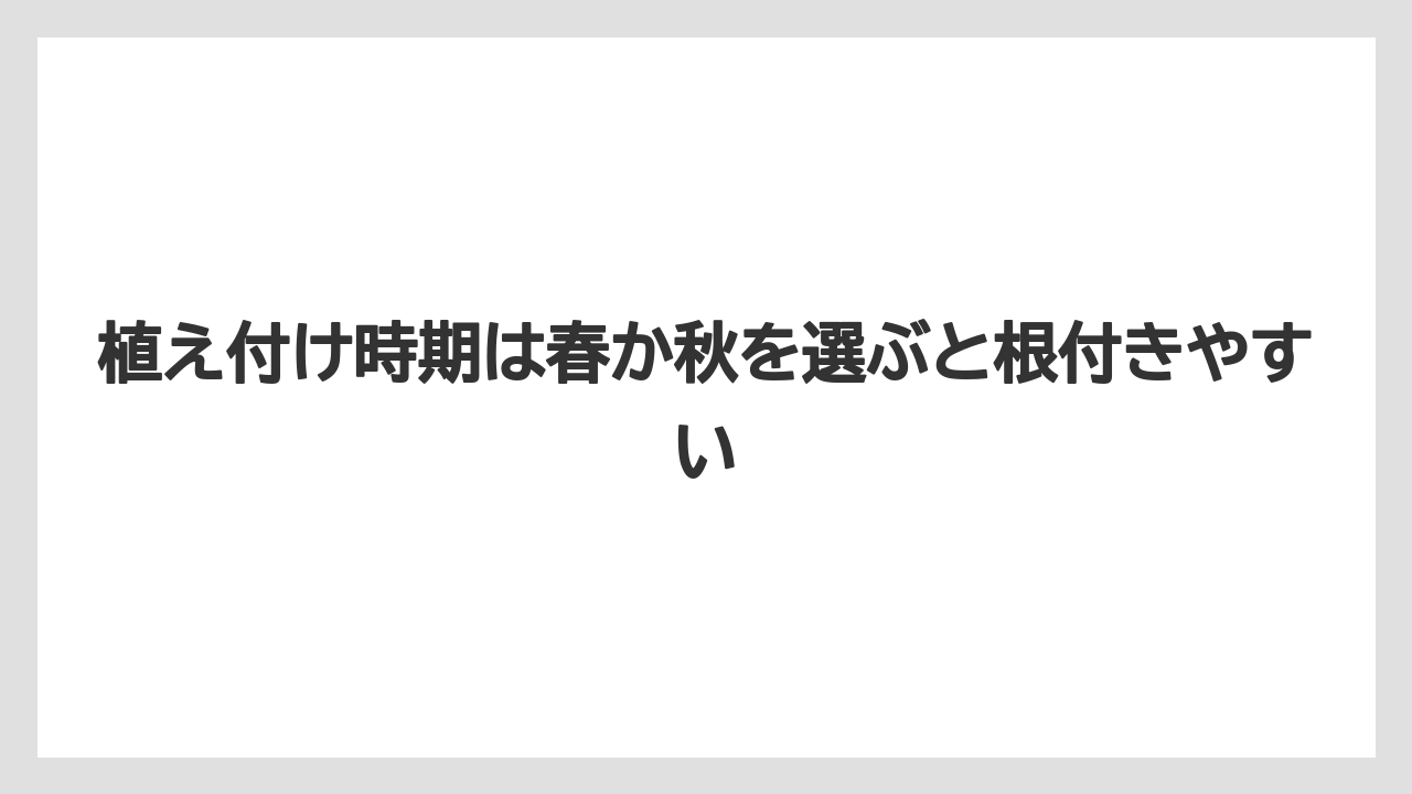 【栽培】【農園】【農業】植え付け時期は春か秋を選ぶと根付きやすい