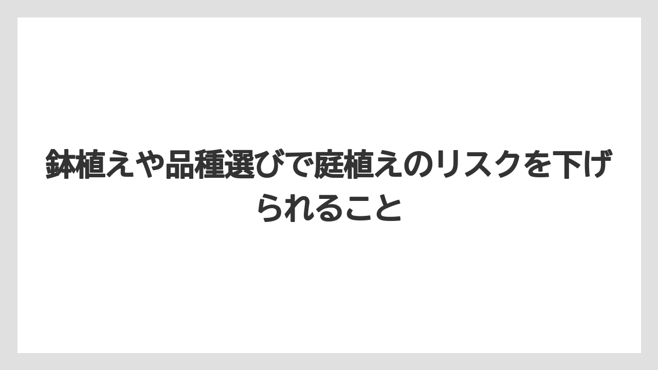 【バラ】【栽培】【農業】鉢植えや品種選びで庭植えのリスクを下げられること